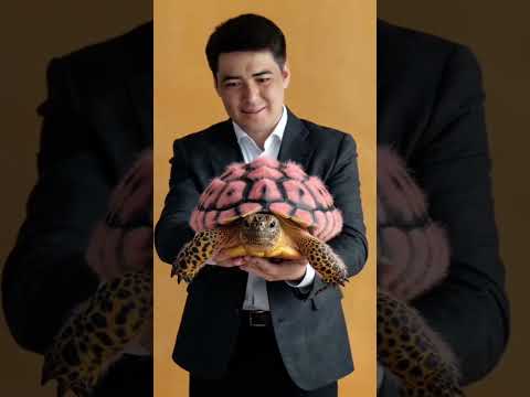 Видео: Казахские фразеологизмы