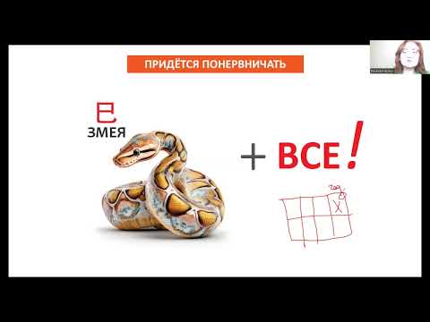 Видео: Прогноз на месяц Огненной Свиньи (с 7 ноября по 7 декабря 2025г.)