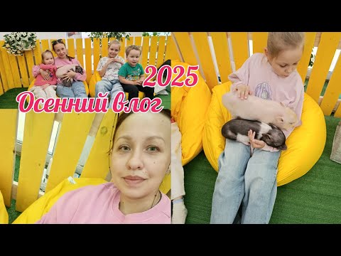 Видео: Посетили Пигги Хаус// задумалась о ремонте//