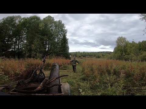 Видео: ПРОИСШЕСТВИЯ В ЛЕСУ. Еду на ЗОНУ КОЛОНИЮ.Вытаскиваю пожарную старинную помпу из реки. Ищу Металл