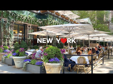 Видео: 🇺🇸 Весенняя прогулка по центру Манхэттена:🌸🌹5th Avenue Blooms, Брайант-парк, Таймс-сквер /May  2024