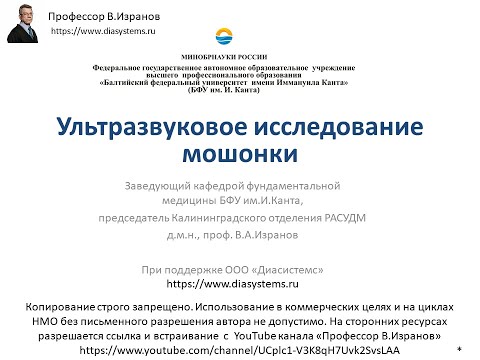 Видео: Ультразвуковое исследование мошонки