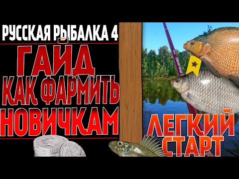 Видео: РУССКАЯ РЫБАЛКА 4: ГАЙД ДЛЯ НОВИЧКОВ | КАК ФАРМИТЬ СЕРЕБРО | ГДЕ ФАРМИТЬ | КАК ЛОВИТЬ ТРОФЕИ. РР4