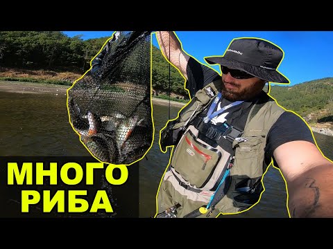 Видео: РИБА НА ВСЯКО ЗАМЯТАНЕ! Риболов на костур. Река Арда - Рай за рибаря