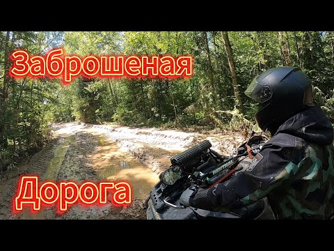 Видео: Заброшенная дорога | Лесная лесовозка