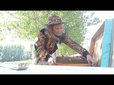 Видео: 20 июля 2025 г.
