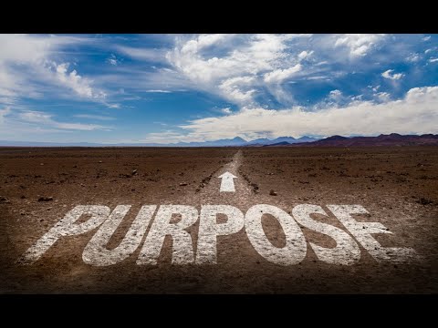 Видео: РЫБЫ ♓️ ИМ НЕТ МЕСТА В ВАШЕМ ПРЕДНАЗНАЧЕНИИ | ПУСТАЯ ЧАШКА