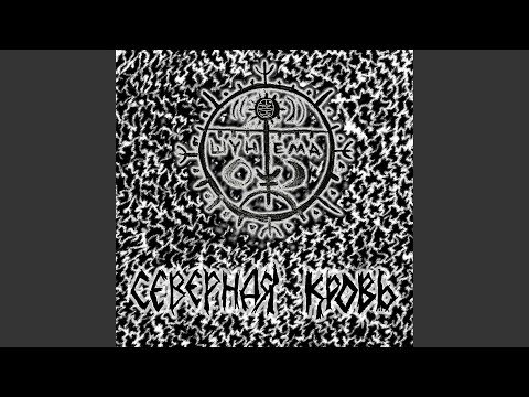 Видео: Северная кровь