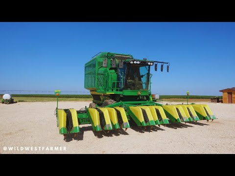 Видео: Техника для сбора хлопка