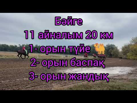 Видео: 2024-ж 9-10- ноябрь күні болатын Ас бәйге бағдарламасы
