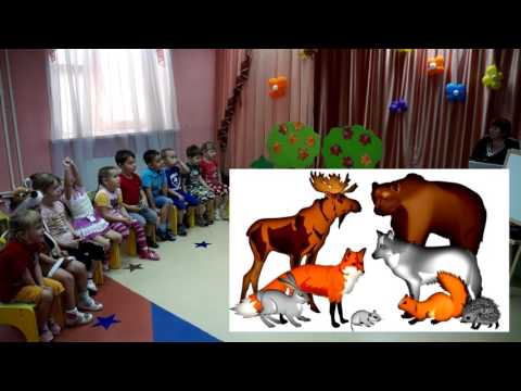 Видео: Открытое занятие по развитию речи с использованием ИКТ. Дикие животные