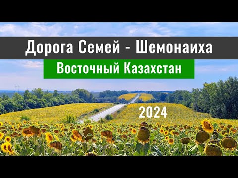 Видео: Дорога Шемонаиха - Бородулиха - Семей. Восточный Казахстан. Дороги Казахстана, 2024 год.