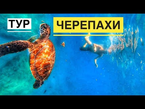 Видео: ТУР К ЧЕРЕПАХАМ НА КОРАБЛЕ. ЭКСКУРСИЯ В ТУРЦИИ КОТОРУЮ ЗАПОМНИТЕ!