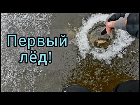Видео: Не успел расставить жерлицы, как флаги начали стрелять один за другим. Первый лёд 2024-2025.