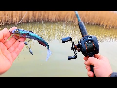Видео: Зимняя ловля щуки на безморщинистые приманки! (Savage Gear goby shad)