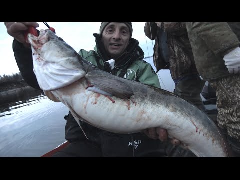 Видео: ДОРОГА НА ПЕРВЫЙ ЛЕД 2021 В ЯКУТИИ! ЛОВИМ НАЛИМОВ НА ВЕДРО!!!