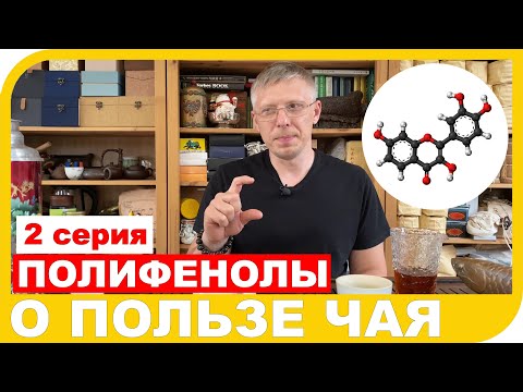 Видео: О ПОЛЬЗЕ ЧАЯ. 2 СЕРИЯ. ПОЛИФЕНОЛЫ