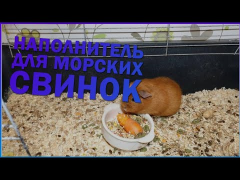 Видео: НАПОЛНИТЕЛЬ ДЛЯ МОРСКОЙ СВИНКИ