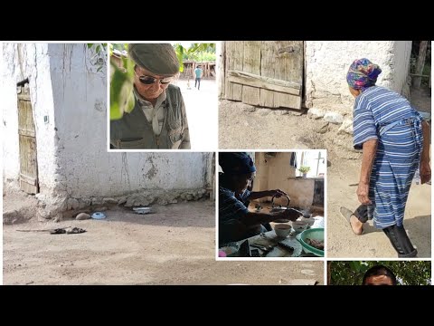 Видео: Жумгалда көп жылдан бери уулу менен байбичесине документ алалбаган Асанбек ата