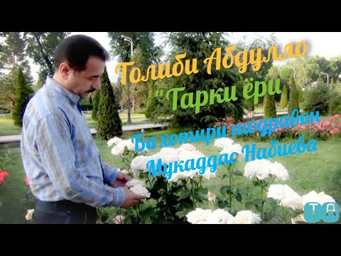 Видео: Тарки ёри - Толиби Абдулло #обунашавед #подписывайтесь