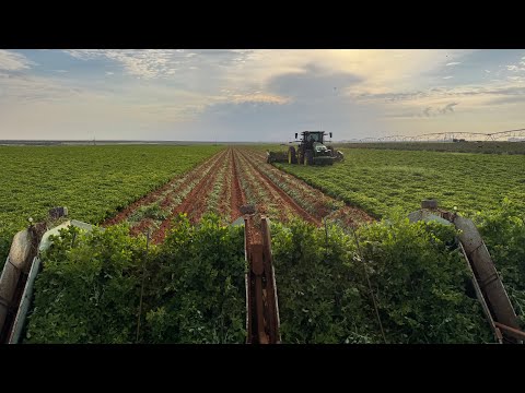 Видео: Давайте разберемся