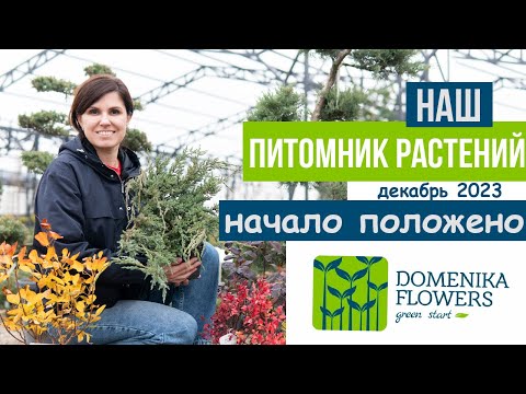 Видео: Наш питомник растений. НАЧАЛО ПОЛОЖЕНО!