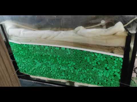 Видео: о фильтрации аквариумной воды