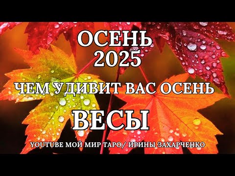 Видео: ВЕСЫ ♎❤️ОСЕНЬ 2025🍂ЧЕМ УДИВИТ ВАС ОСЕНЬ🍁Таро прогноз для Весов/Tarot forecast from Libra.