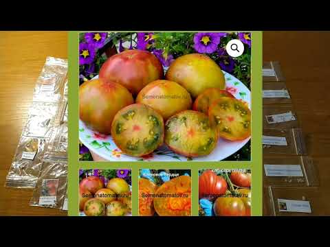 Видео: ТОМАТЫ от С.Сааковой 35 сортов на новый сезон. Вкуснота и красота!