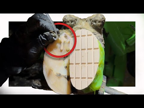 Видео: Ожидайте НЕОЖИДАННОГО!!!