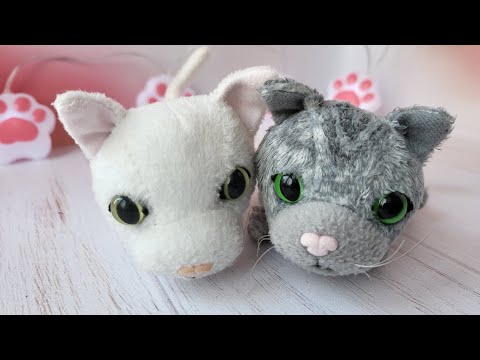 Видео: Реанимация Кэтов! | Распаковка новинок The cat collection 😸