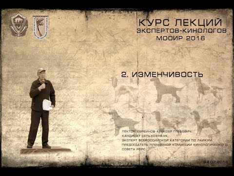 Видео: Лекция 2. Изменчивость (Курсы экспертов-кинологов МООиР 2016)