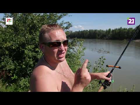 Видео: Карпатське рибалля / Ловля марени, підуста та чопа на фідер поблизу села Тросник на річці Тиса
