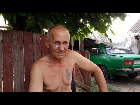 Видео: Николаевские голуби - с Петровка.-  Долгов Владимир Николаевич. 2023г.