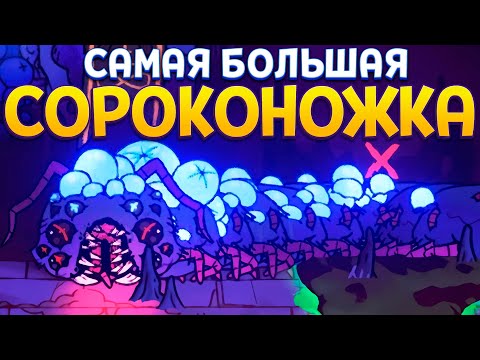 Видео: БОЛЬШАЯ СОРОКОНОЖКА СЪЕСТ МЕНЯ ( Cult of the Lamb )