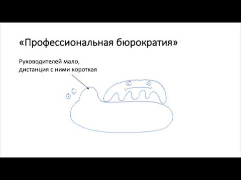 Видео: Генри Минцберг - структура в кулаке