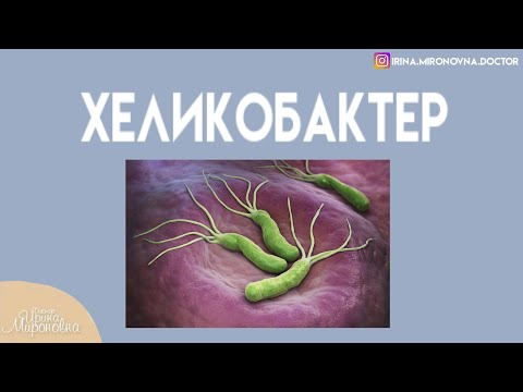 Видео: Хеликобактер