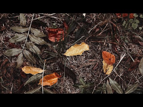 Видео: Магические Артефакты