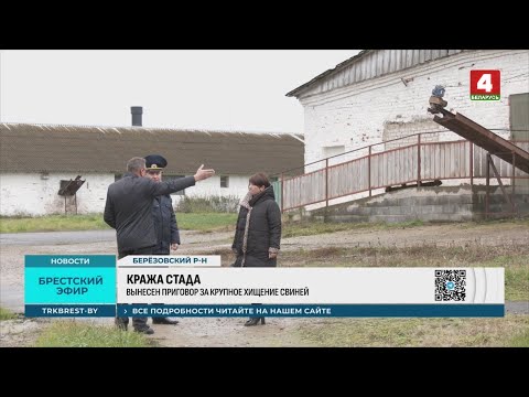 Видео: КРАЖА СТАДА