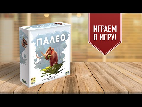 Видео: ПАЛЕО: Кооперативная настольная игра про выживание в каменном веке!