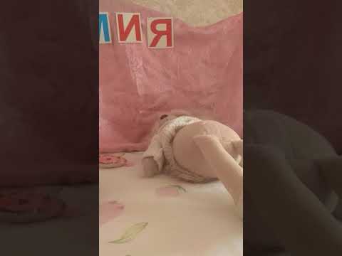 Видео: Уход за собачкой лаки доги