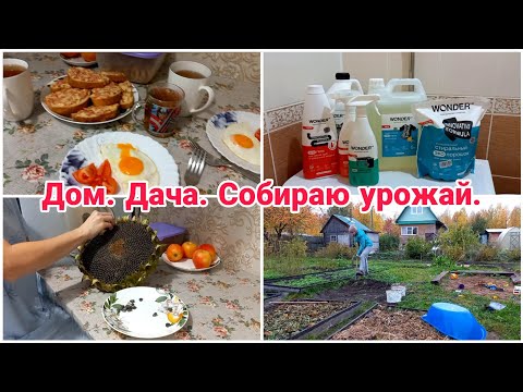 Видео: Дом// Дача// Собираю урожай// Будни мамы//