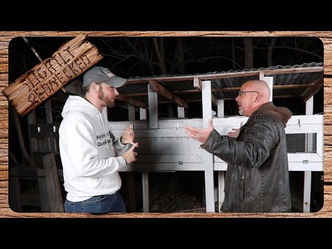 Видео: Я неправильно выращиваю перепелов?