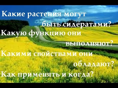 Видео: СИДЕРАТЫ от А до Я в Природном земледелии! Урок № 5