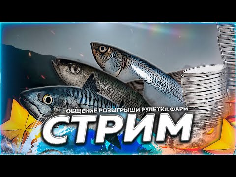 Видео: 🔥На Креветки ⭐ Фарм на мелких банках Моря 🎁Рулетка & Розыгрыши 🏆 СТРИМ РР4