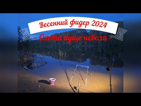 Видео: ВЕСЕННИЙ ФИДЕР 2024. Рыбалка в Самарской области на реке Кривуша.