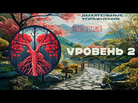 Видео: Дыхательные упражнения . Метод Бутейко . Уровень 2