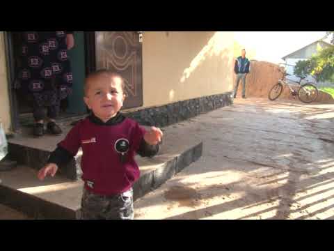 Видео: Туй Чуянчи