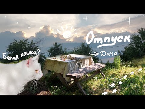 Видео: Свежий воздух и Белая шока. Дачный Отпуск 2023г.