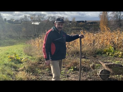 Видео: Дощ і вітер ... Викопали моркву і посадили цибулю. День короткий - роботи багато.